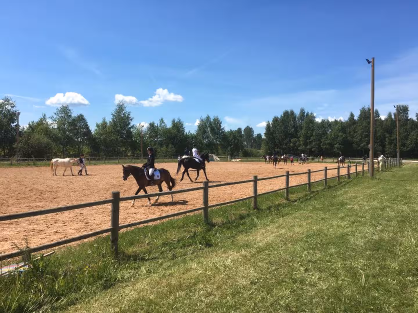 Kilgi Tallid, hobuste pidamine Tartumaal